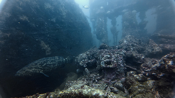 1st Place Best Wreck Photo -   George Branson IV