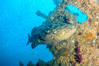 Best Wreck Photo 3rd Place Winner - David Thomas