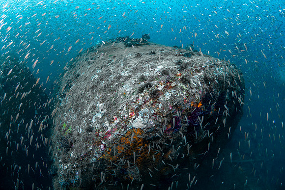 Best Wreck Photo 2nd Place Winner - Eliel Alfon