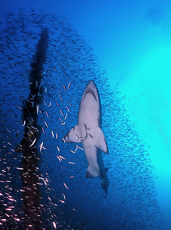 Best Point & Shoot Camera Winner 2nd Place - Britta Siegers