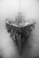 Bow - San Francisco Maru