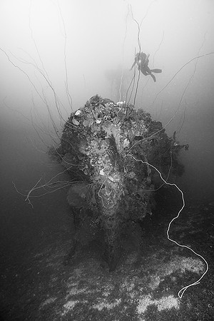 Bow - Shotan Maru
