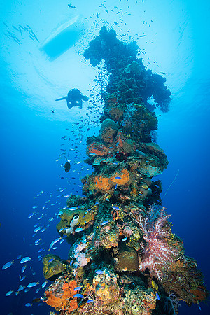 Hoki Maru Mast