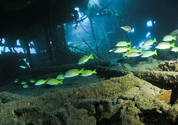 Wreck of the USS Tucker Interior