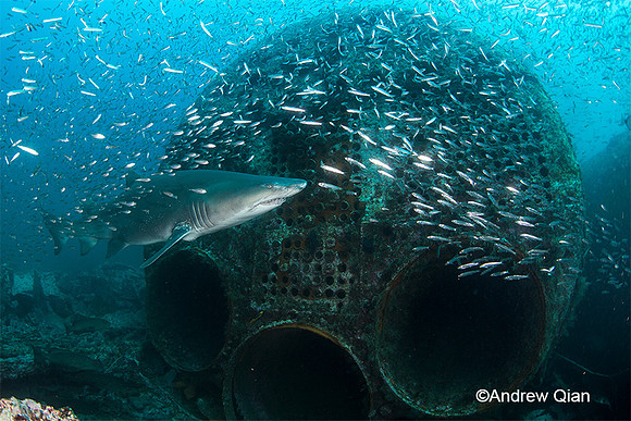 Best Wreck Photo 1st Place - Andrew Qian
