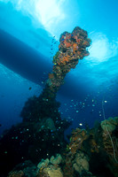 Fujikawa Maru Forward Gun