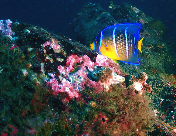 2nd Place Best Point & Shoot Camera Photo - Tim Fischetti