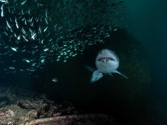 3rd Place Best Wreck Photo - Bjoern Kroog