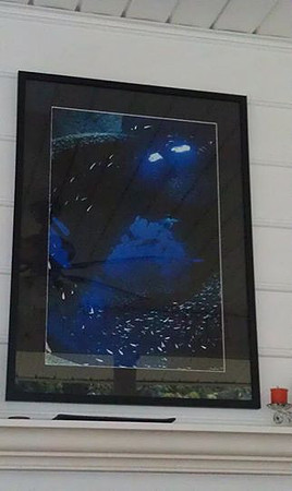 Wreck Cavern on Display