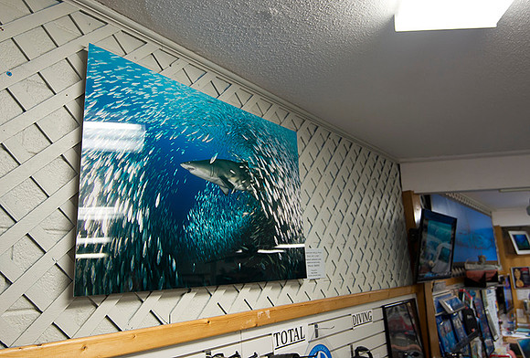 Olympus Dive Center